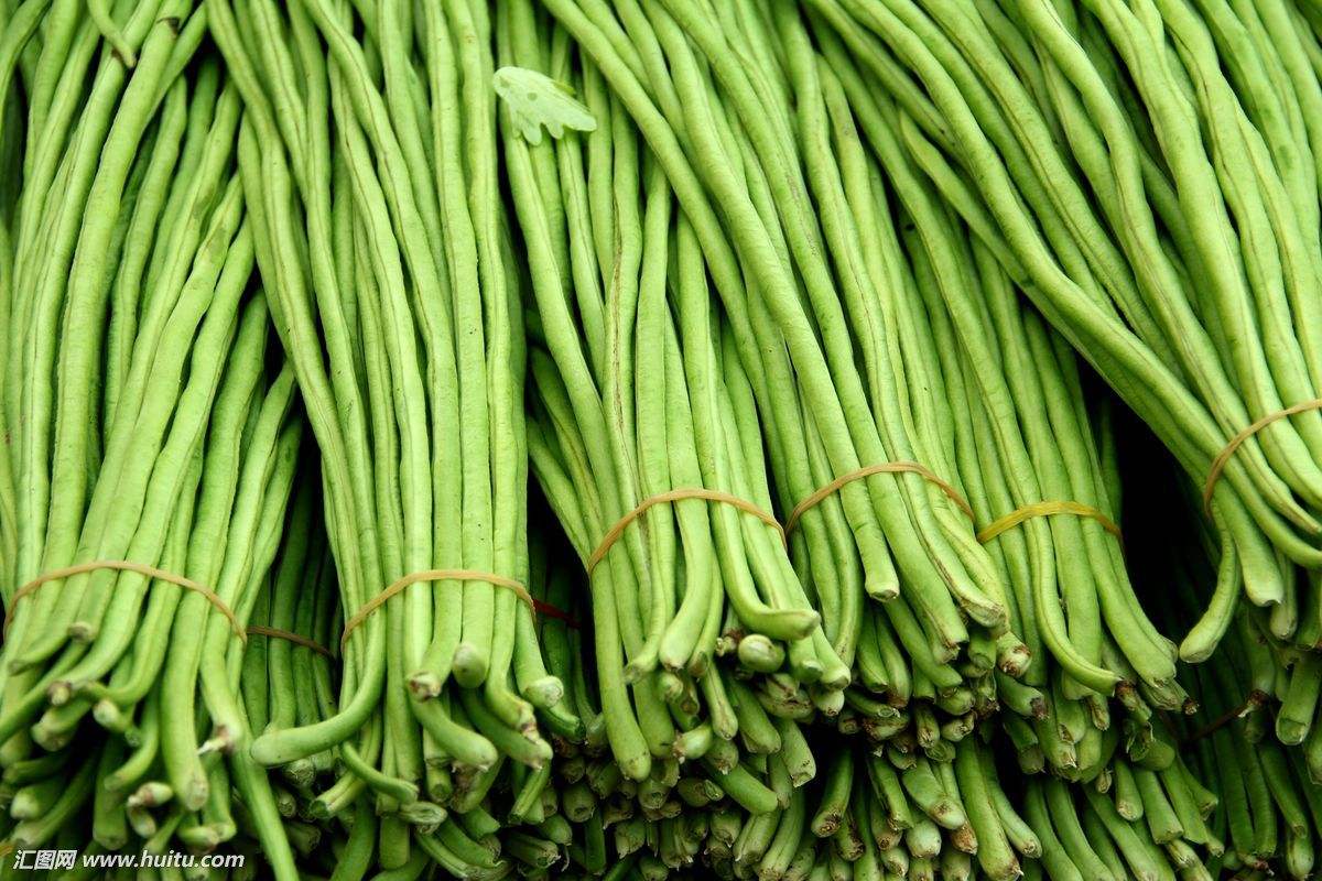 1525932252850607.jpg timg.jpg