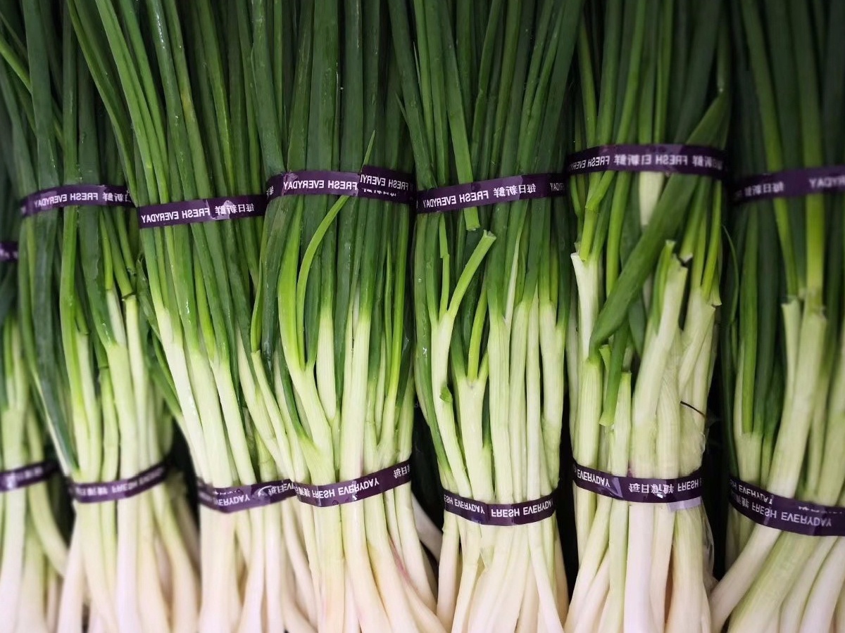 微信圖片_202004061454525.jpg 微信圖片_202004061454525.jpg